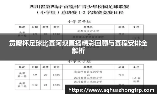 贡嘎杯足球比赛阿坝直播精彩回顾与赛程安排全解析
