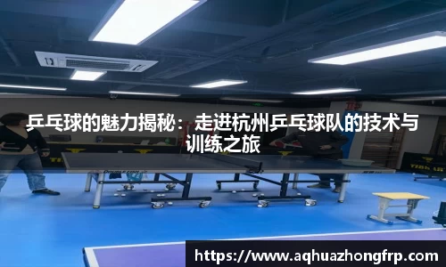 乒乓球的魅力揭秘：走进杭州乒乓球队的技术与训练之旅