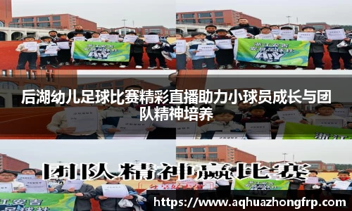 乐鱼电竞官网